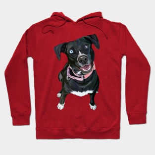 Charismatic Canine Black Labrador Mix Hoodie